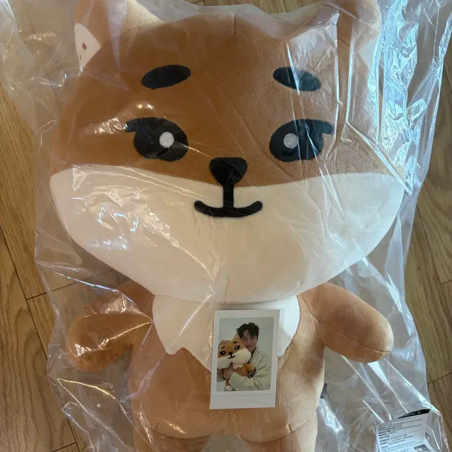 (새상품) 데이식스 자이언트 데니멀즈 자멀 케