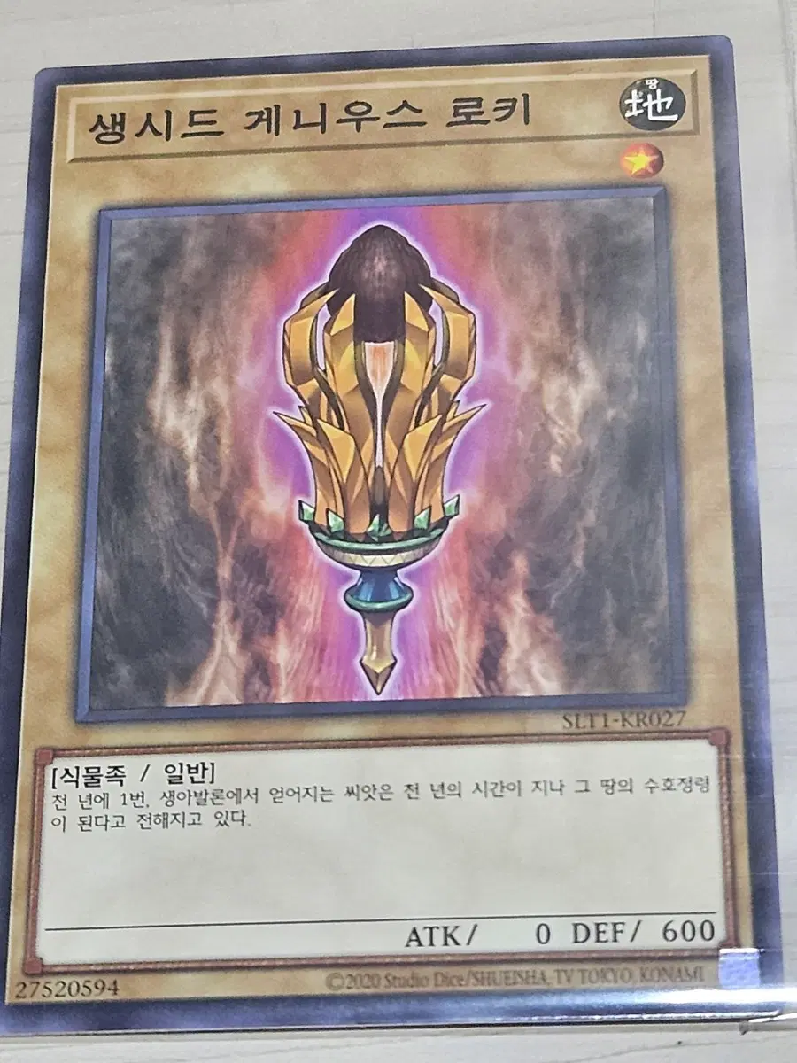 [득템] 유희왕 카드 생시드 게니우스 로키