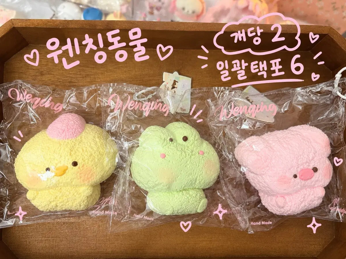 웬칭동물 말랑이