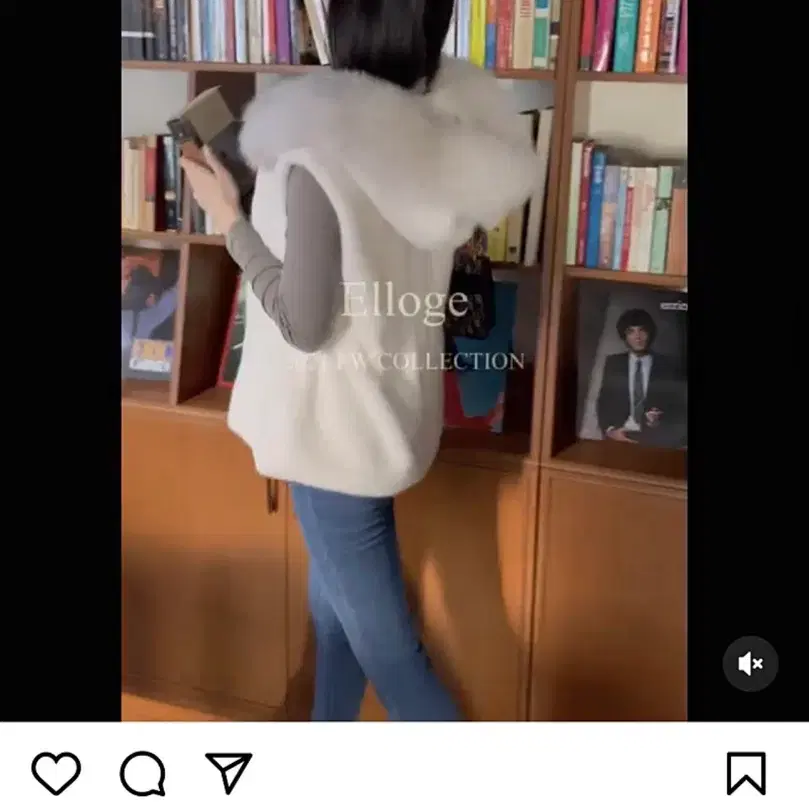 엘로주 사가폭스퍼 베스트