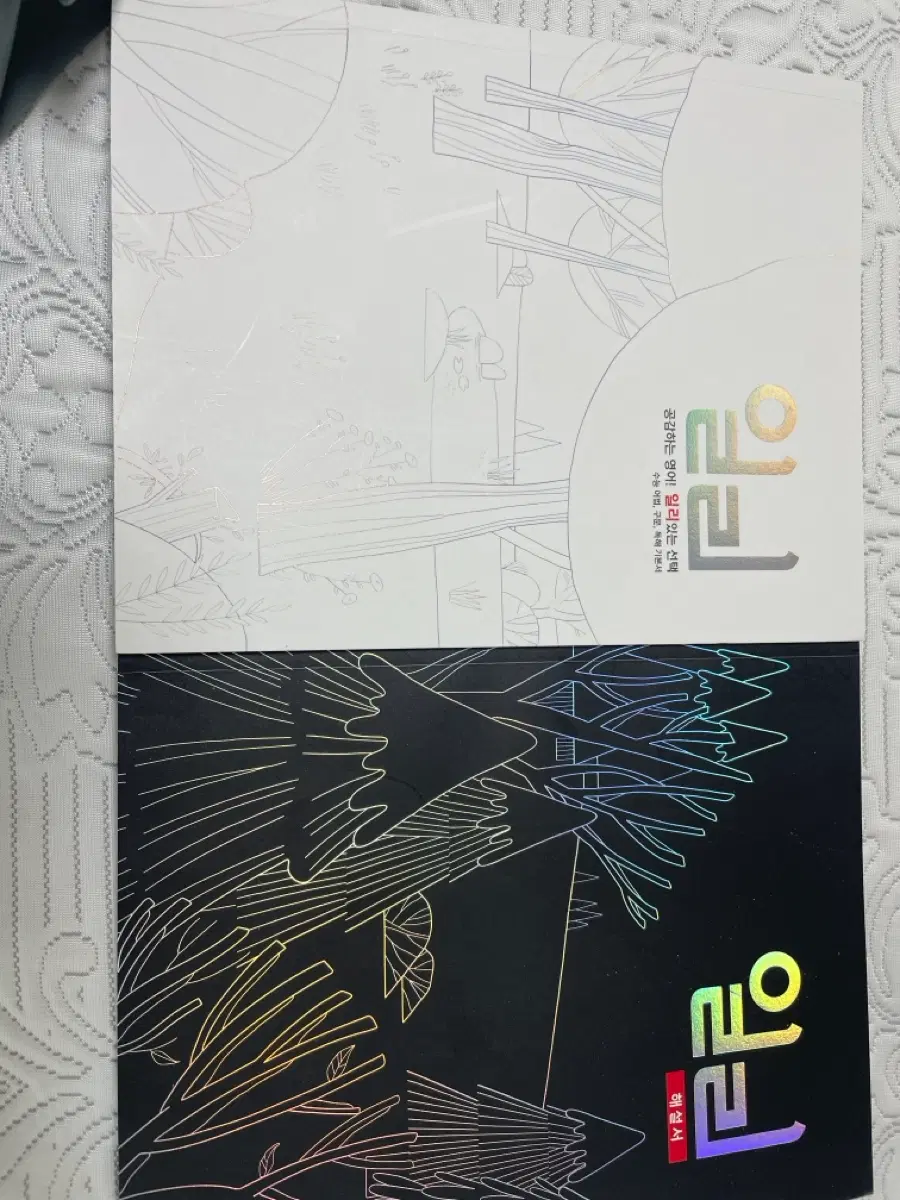 이명학 일리 풀세트 일괄