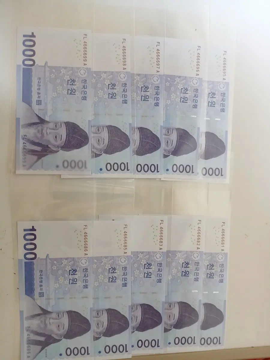 특이번호