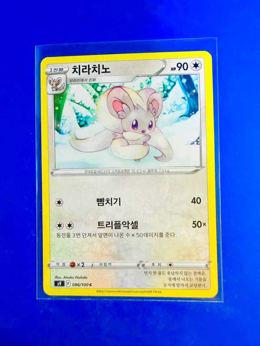 포켓몬카드 2022년 치라치노 카드