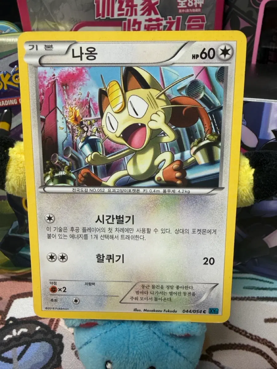 포켓몬카드 나옹 XY 044/054