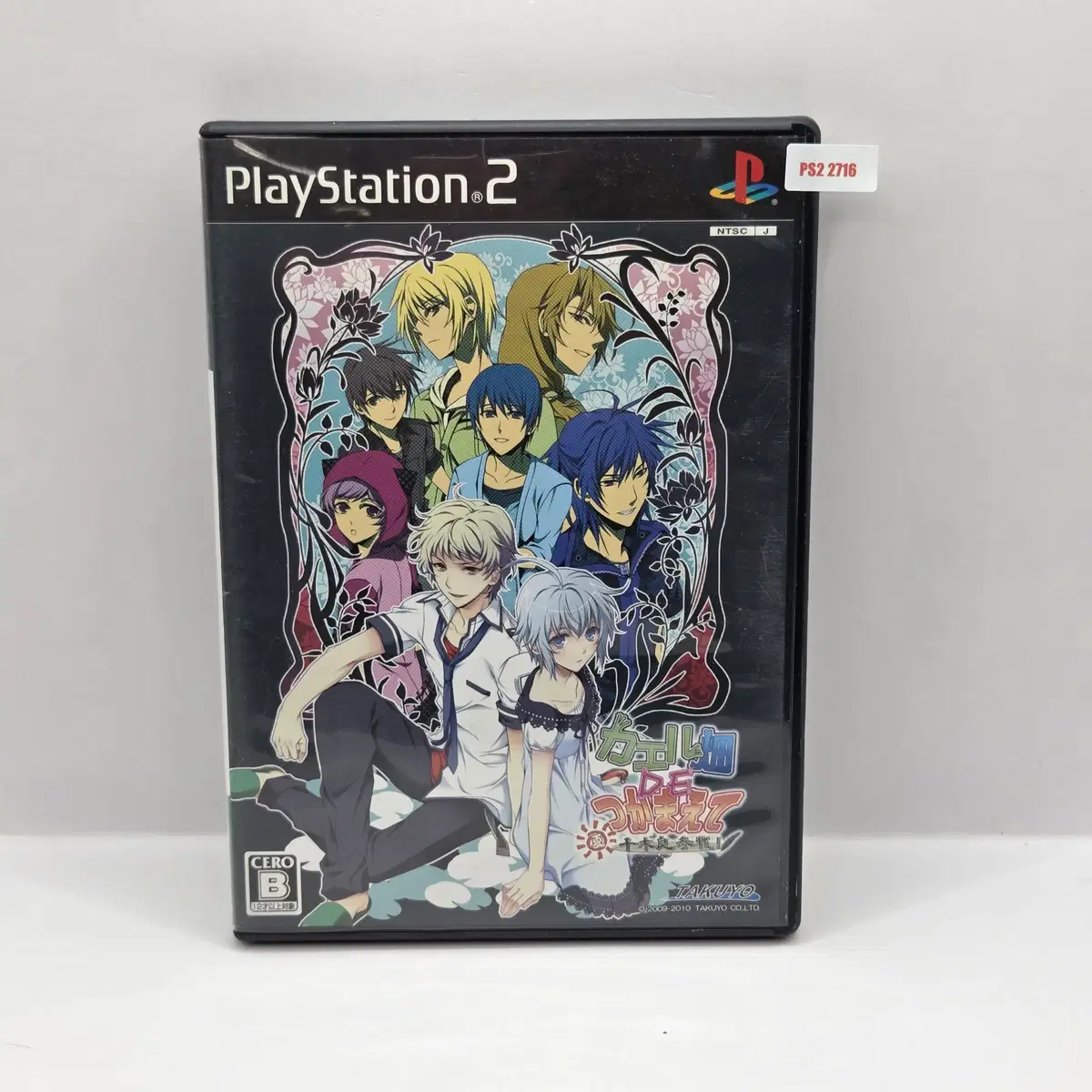 [일판] PS2 개구리밭에서 잡아줘 (2716)