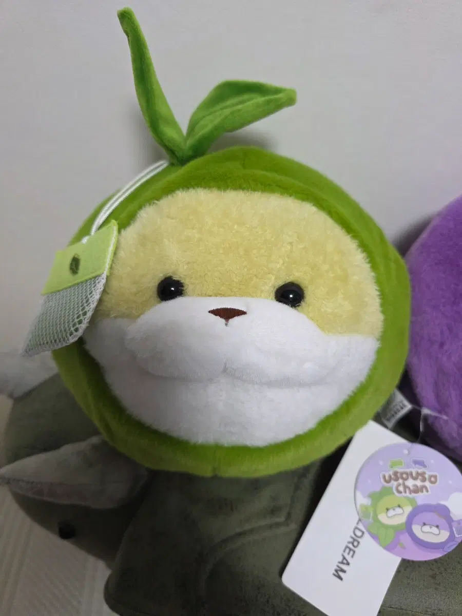 우소우소짱 말차 인형