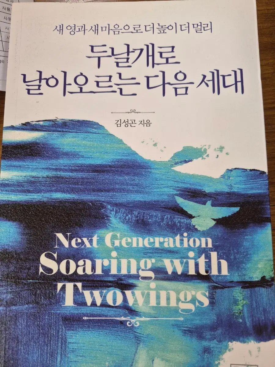 두날개로 날아오르는 다음세대 김성곤 지음