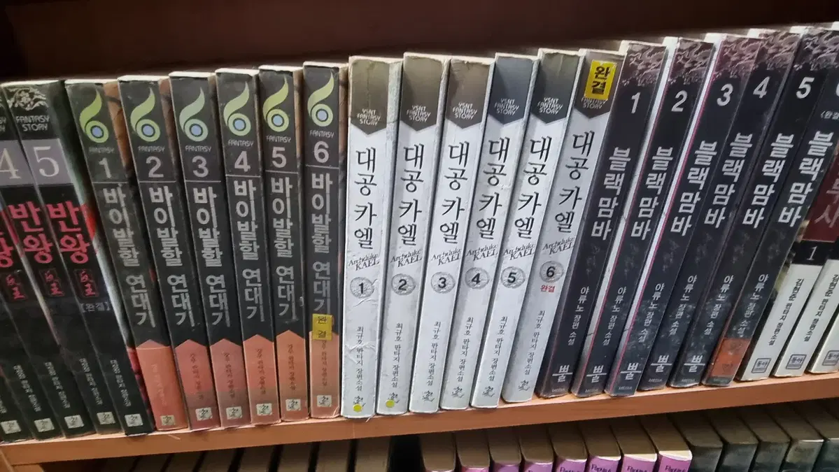 대공카엘 1-6 완 최규호 판타지 소설