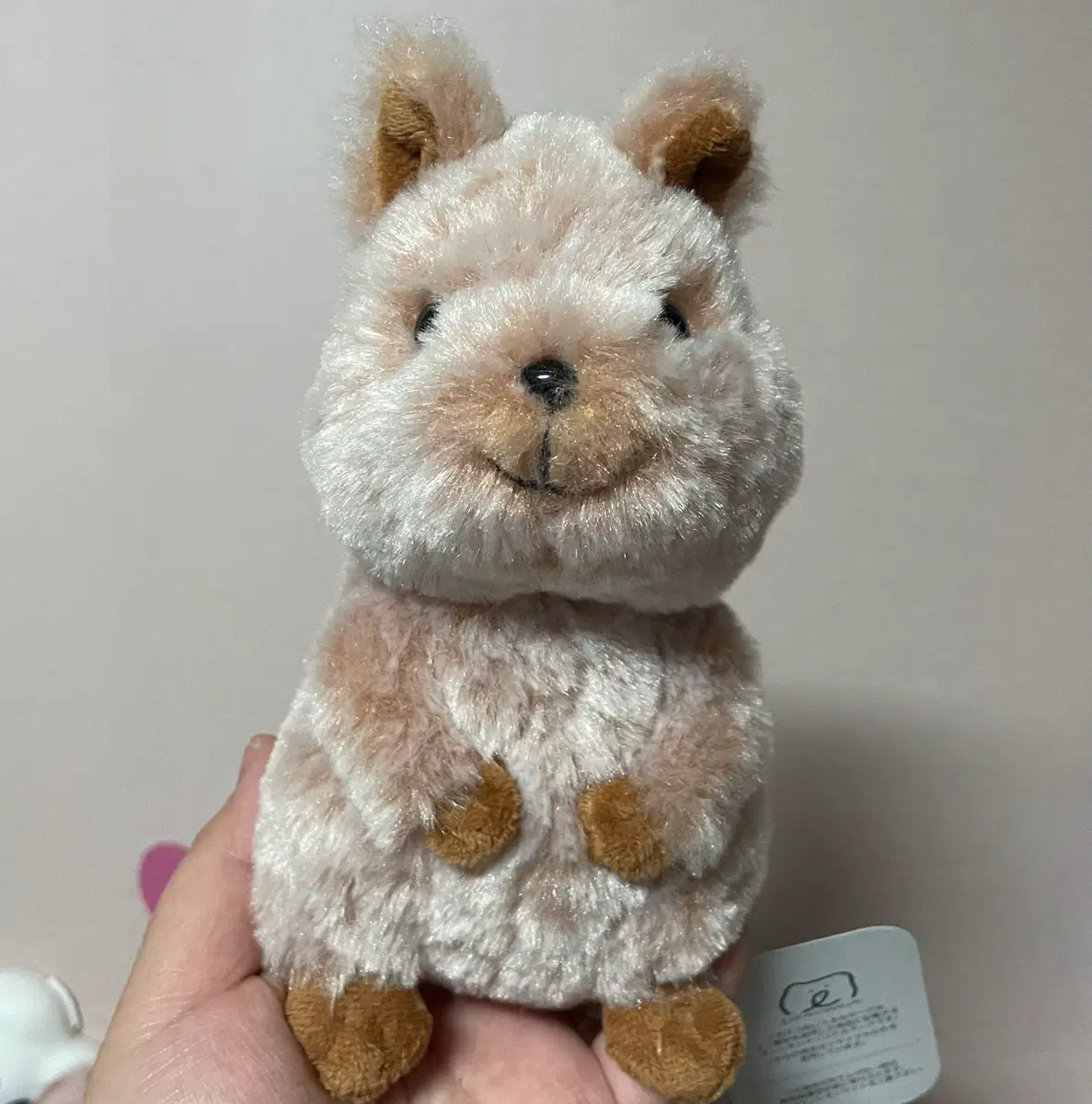 선레몬 오리지널 쿼카인형