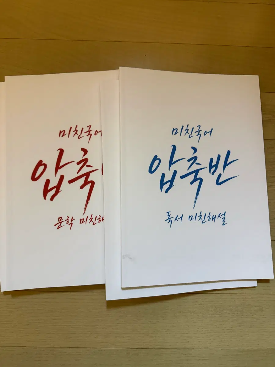 미친국어 압축반 문학만