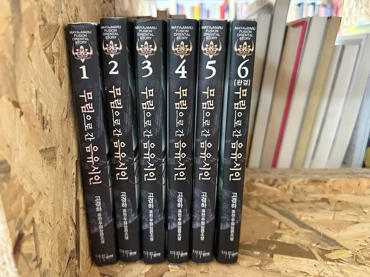 무림으로 간 음유시인 1~6
