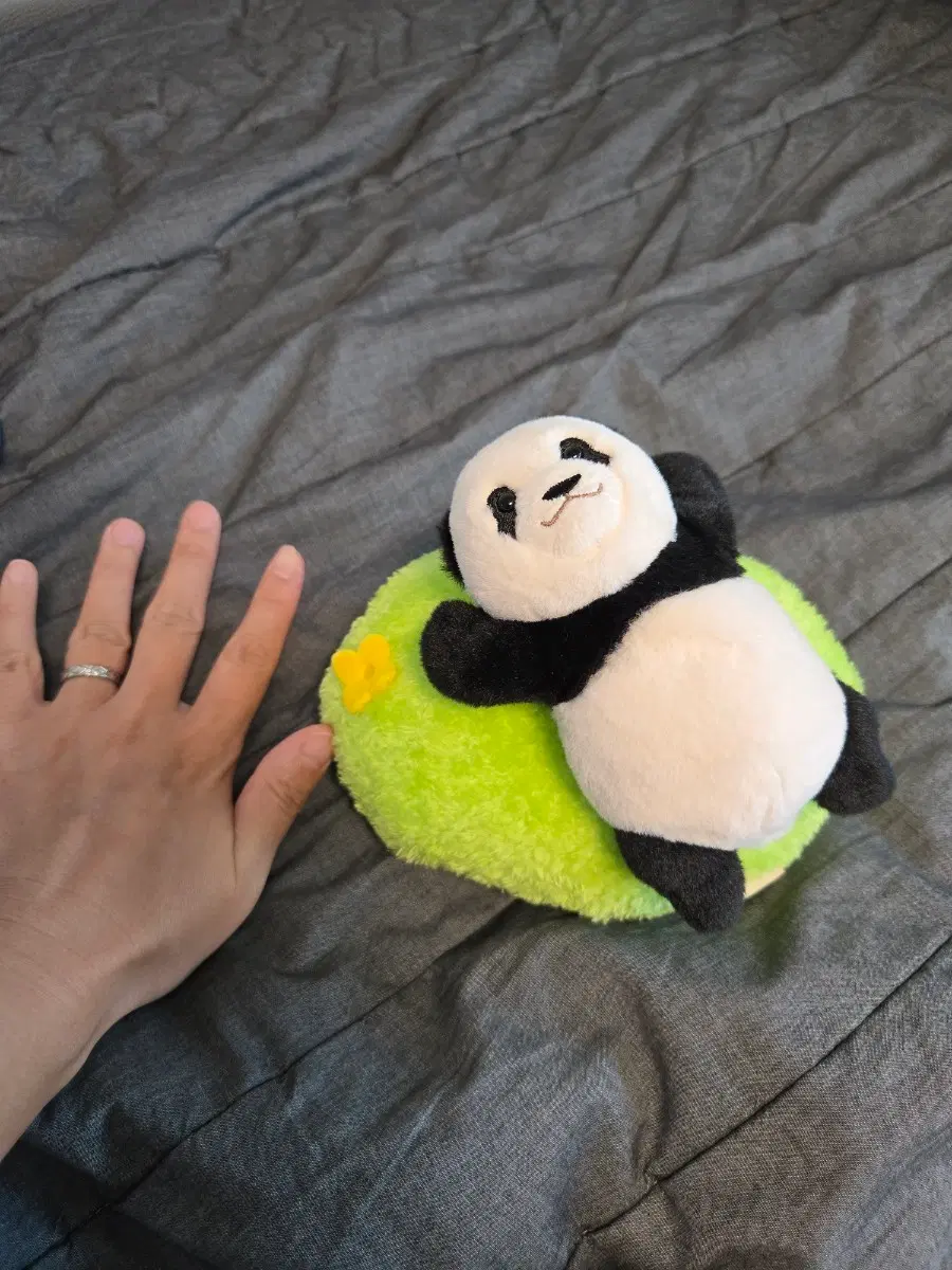 푸바오 팬더 인형