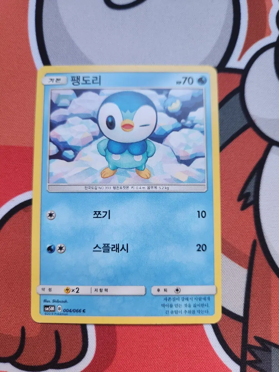 포켓몬 카드 팽도리