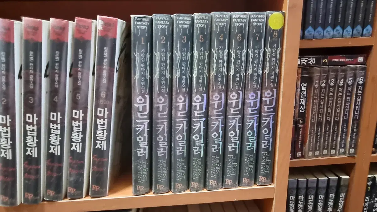 위드카일러 1-8 완 가람검 판타지 소설