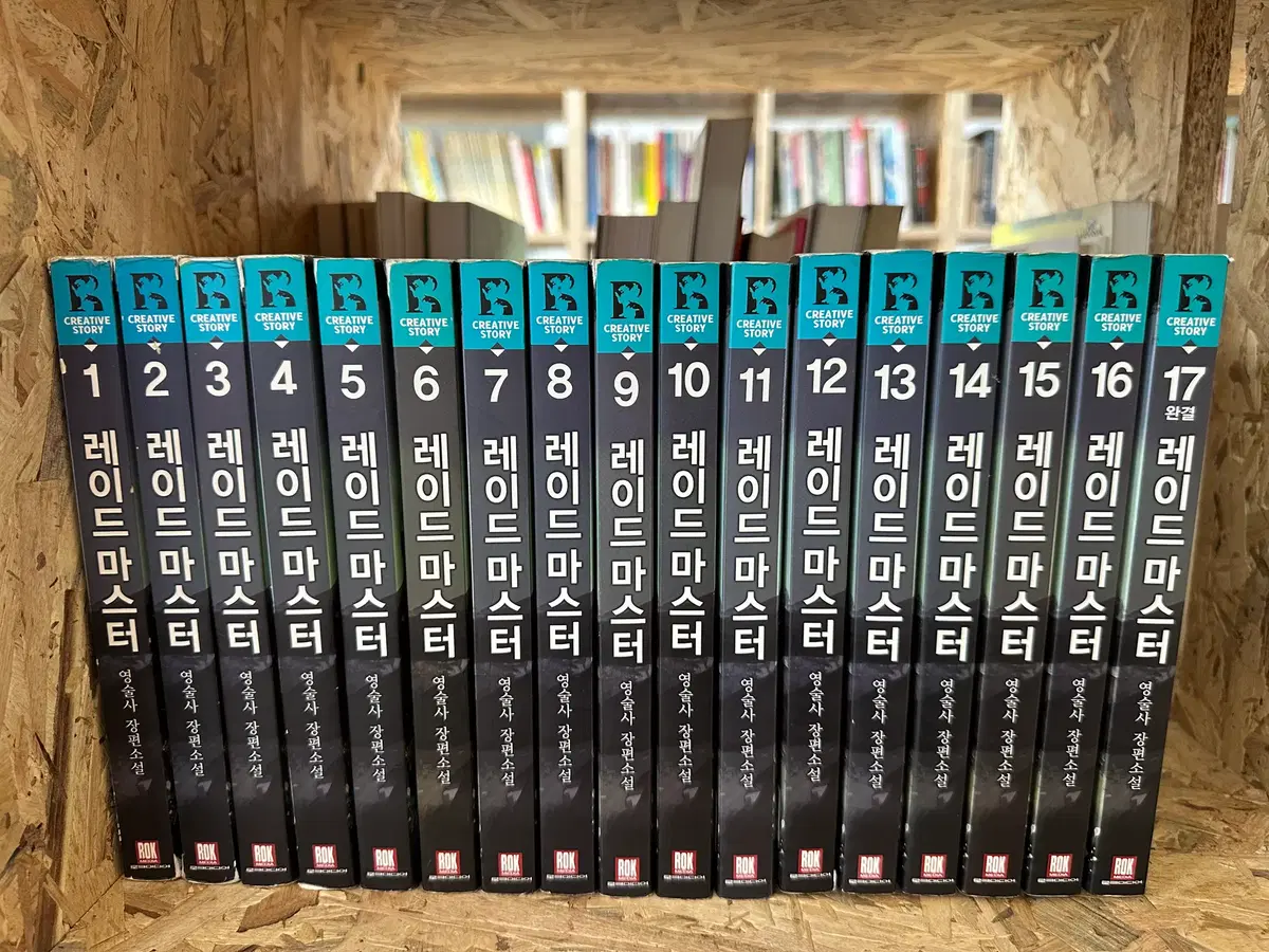 레이드 마스터 1~17