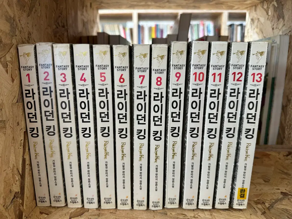 라이던 킹 1~13