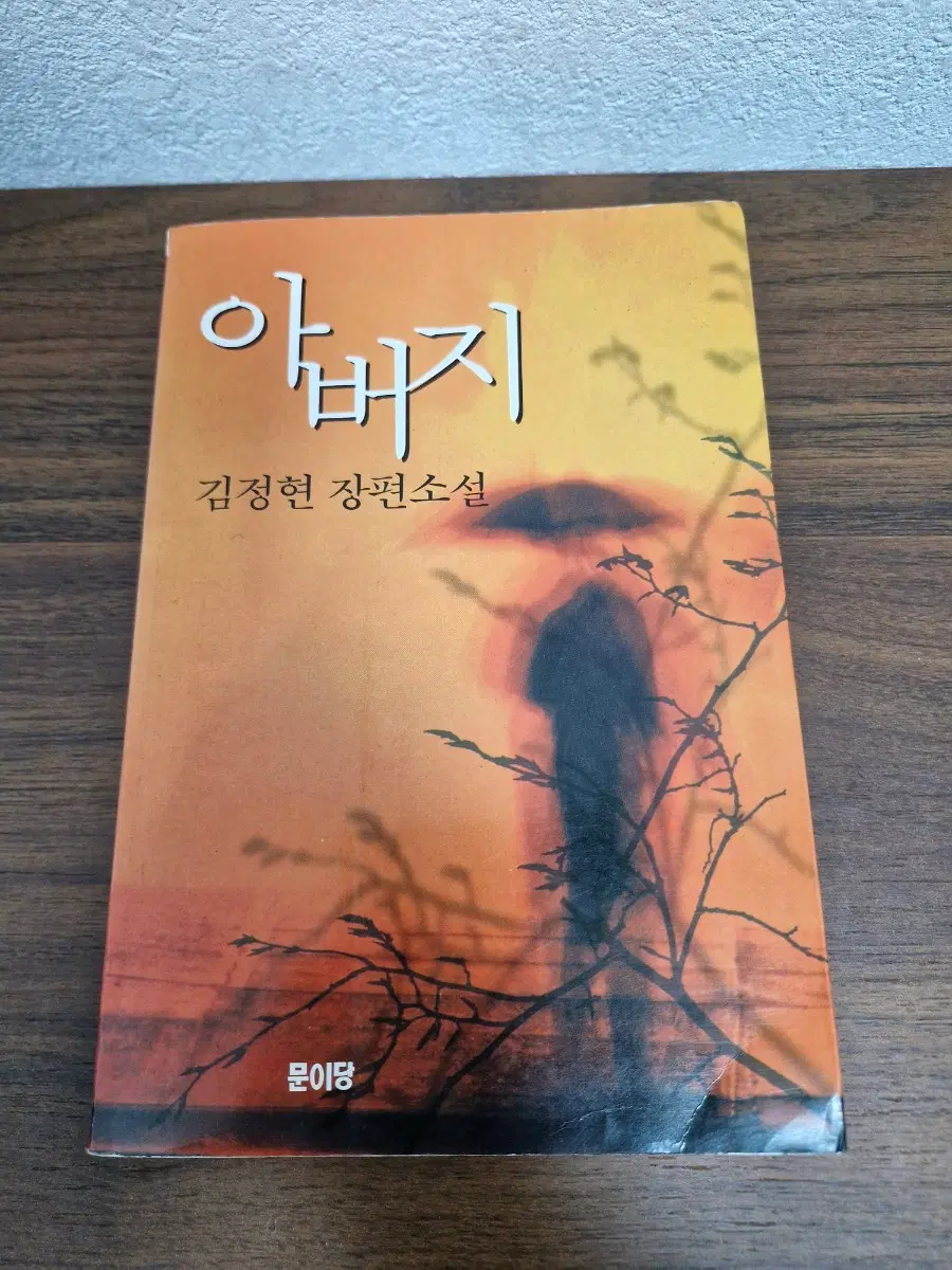 아버지 김정현 장편소설