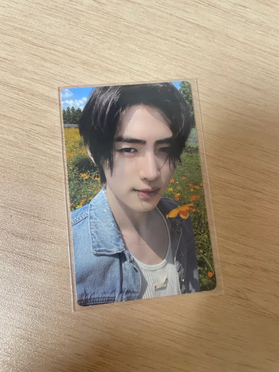 Enhypen Sunghoon Orange Blood