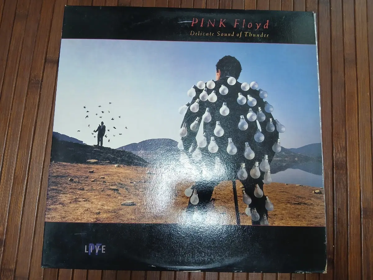 핑크플로이드 2lp 레코드판