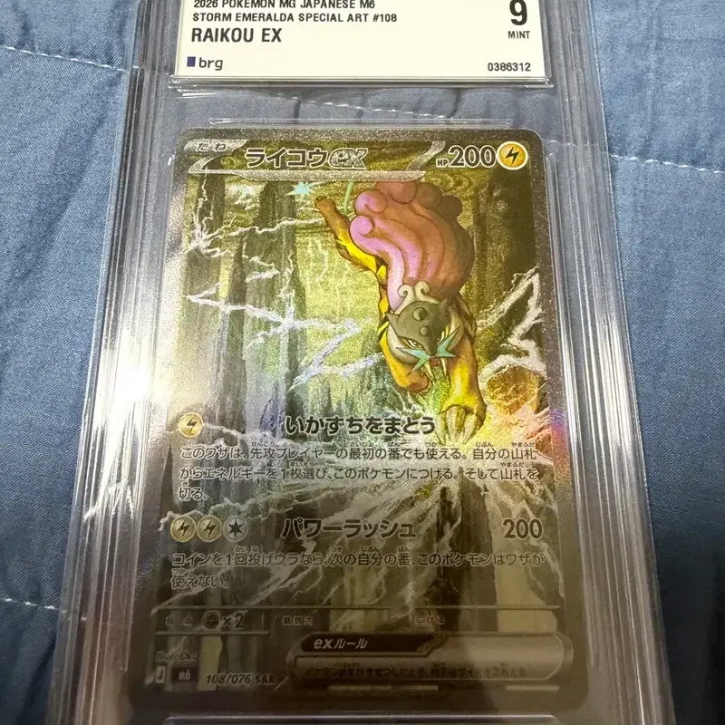 포켓몬카드 팽도리 psa10 라이코 BRG9