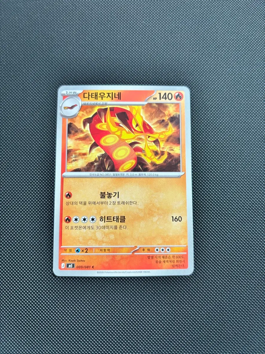 고대 빈티지 포켓몬카드 다태우지네 일반카드 도감용 덱소스 m5 009/081