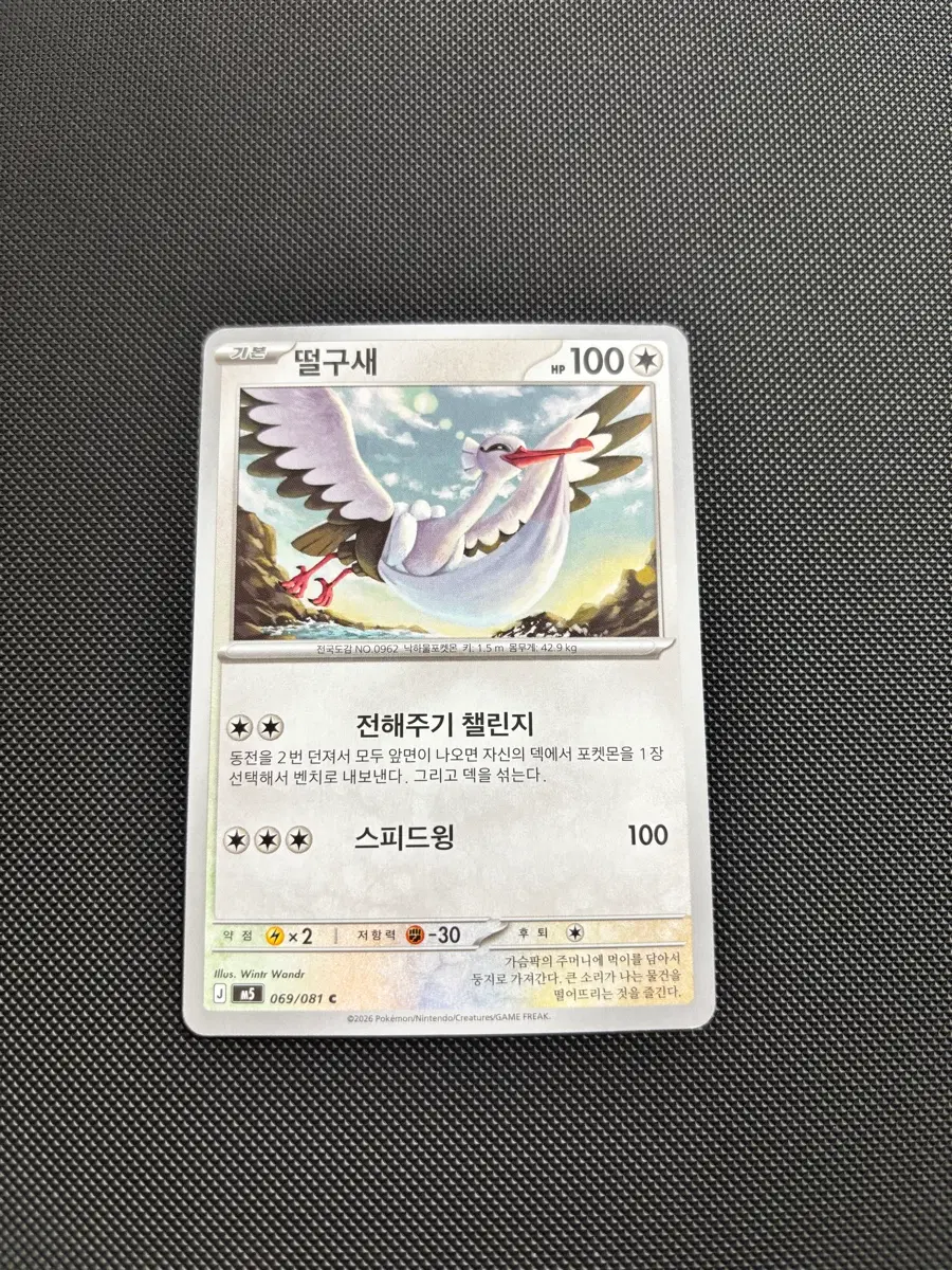 고대 빈티지 포켓몬카드 떨구새 일반카드 도감용 덱소스 m5 069/081