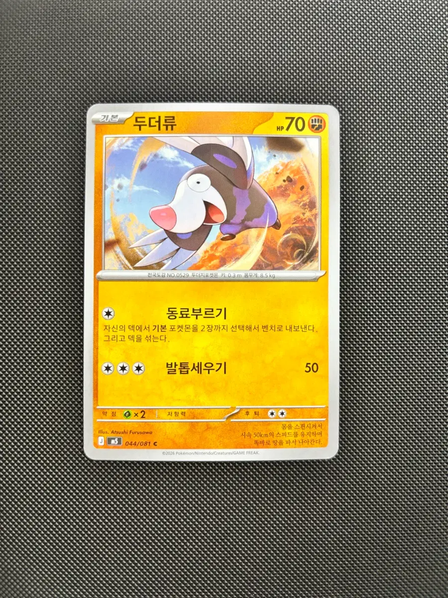 고대 빈티지 포켓몬카드 두더류 일반카드 도감용 덱소스 m5 045/081