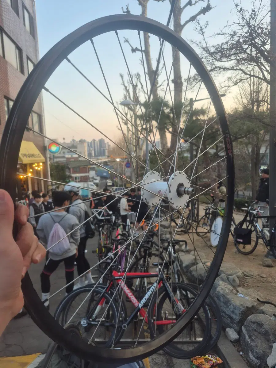 필우드 허브 벨로시티 림 빌딩휠