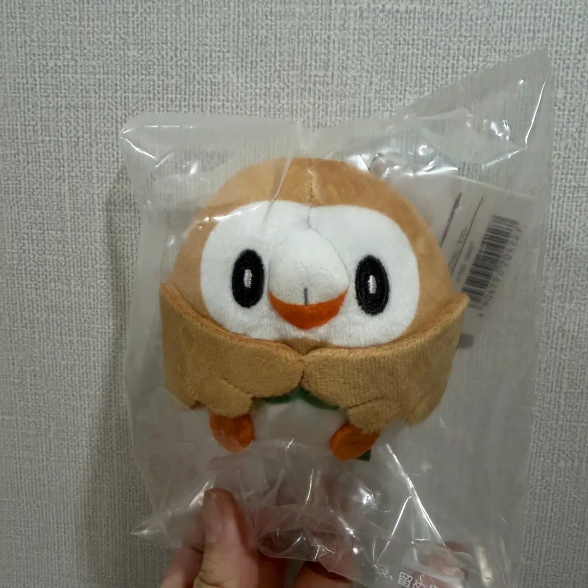 촛코리상 나몰빼미