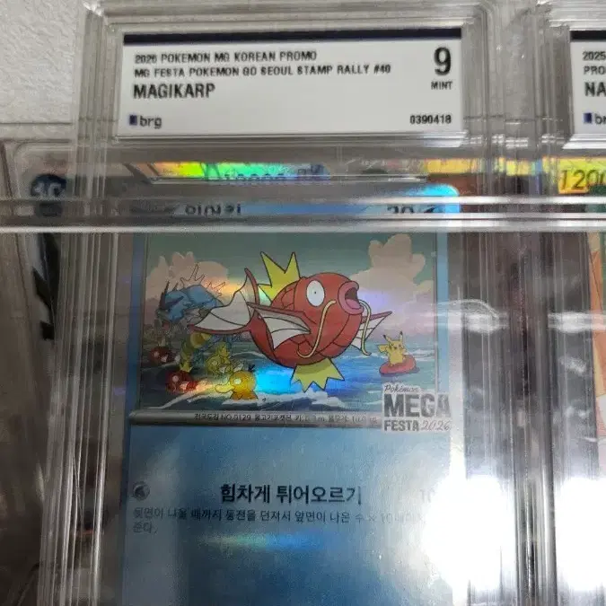 2026 포켓몬 코리아 프로모 Magikarp 카드