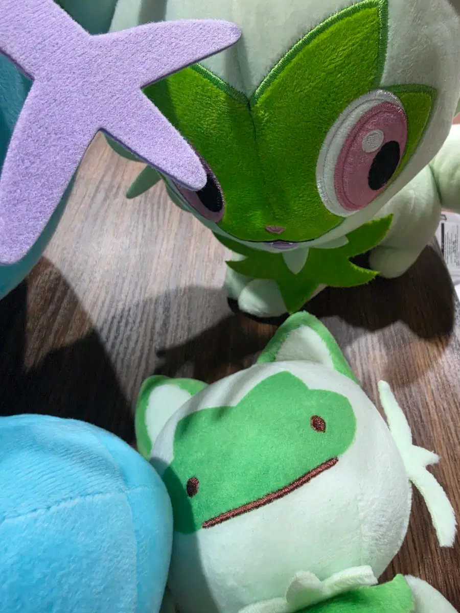포켓몬 팝업 인형 일괄