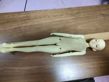 구체관절 인형 본체 인형 교실A 헤드