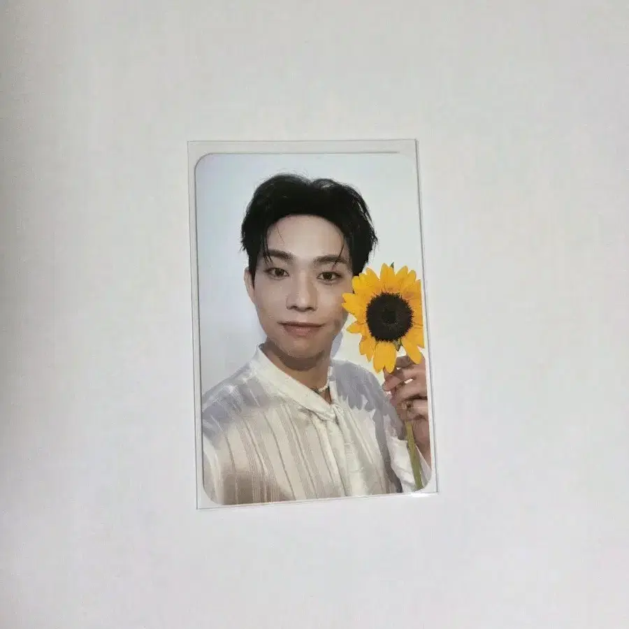 루시 선 최상엽 포카
