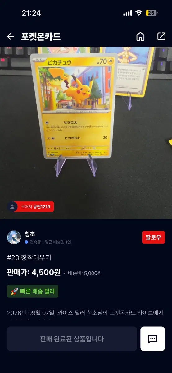 달리기 피카츄 팝니다