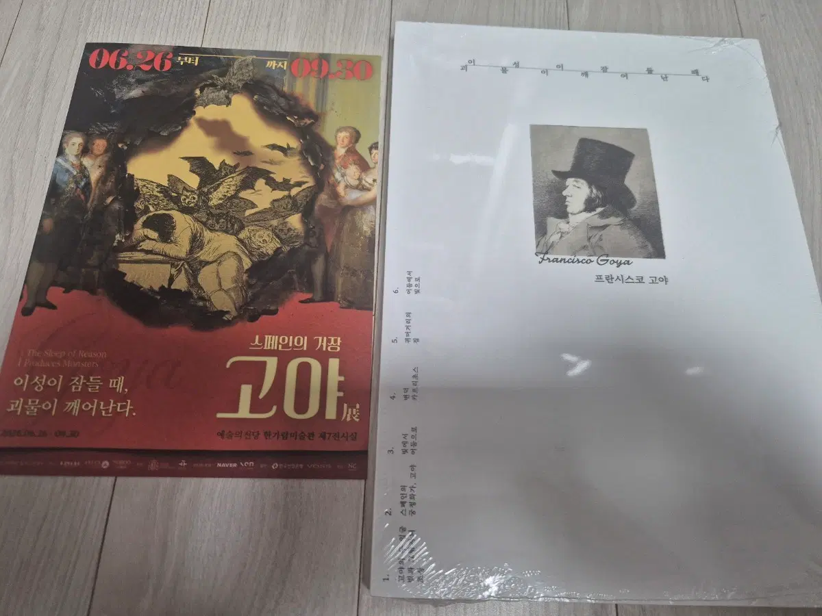 스페인 거장 고야 전시회 도록