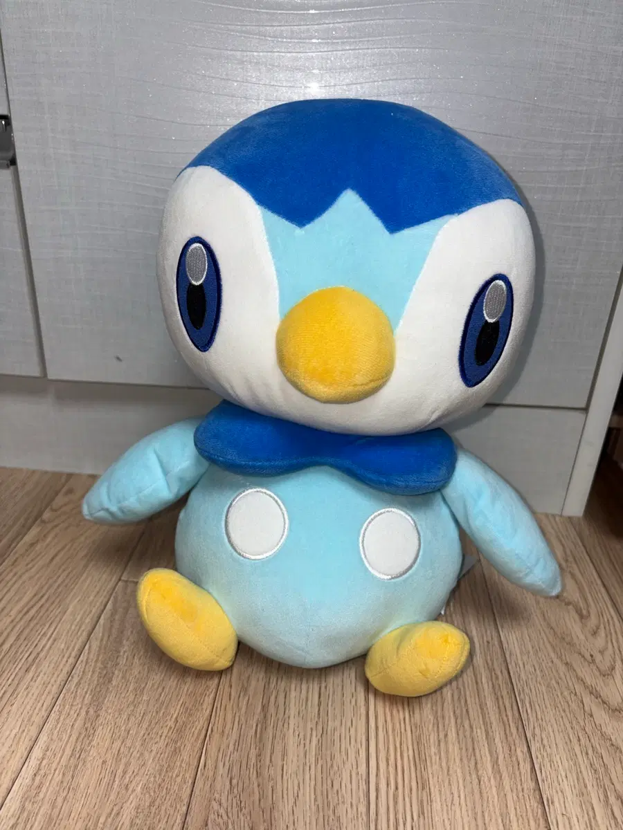 포켓몬스터 팽도리 일본 정품 인형