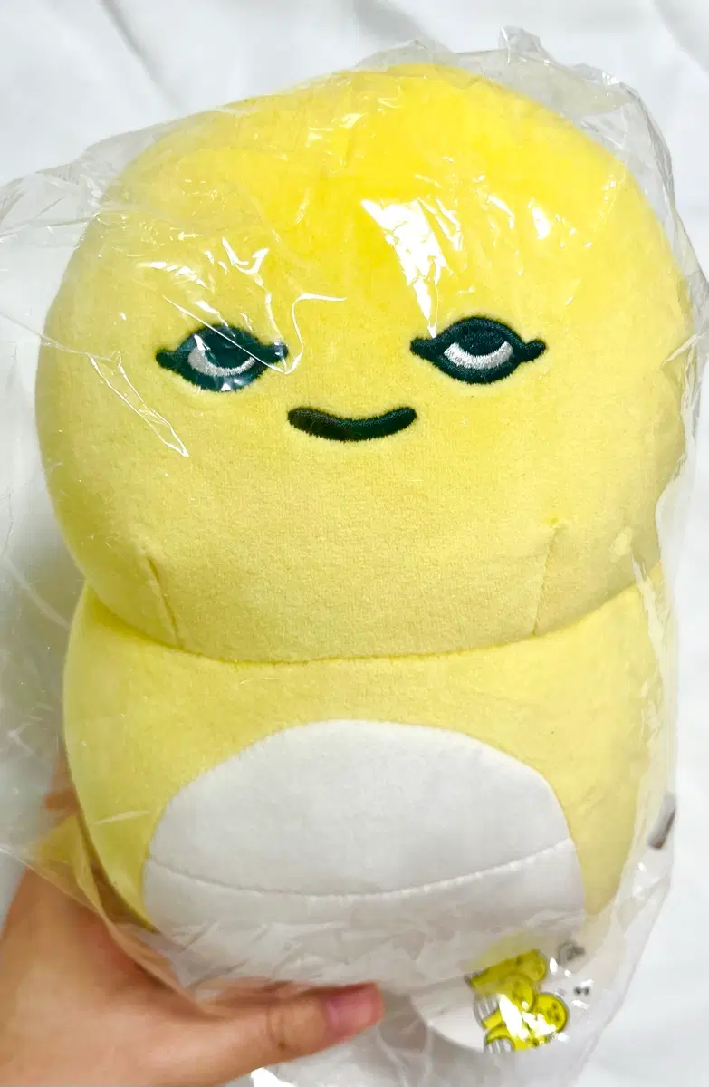 공홈직구) 농담곰 츠지노코 인형