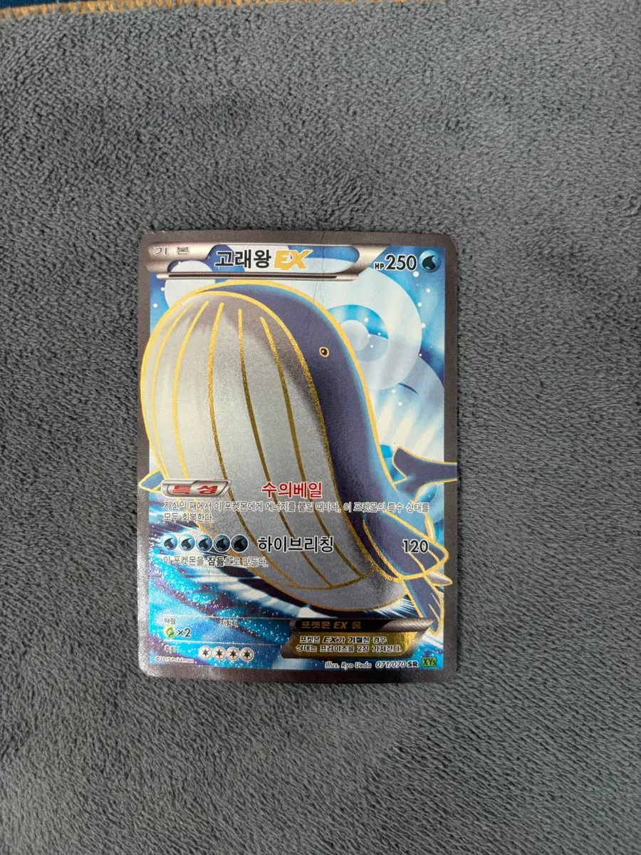포켓몬카드 고래왕 EX XY SR