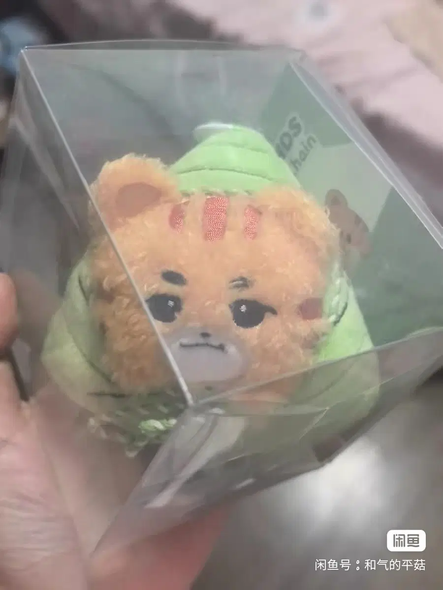 예판 티원 중국 한정 인형
