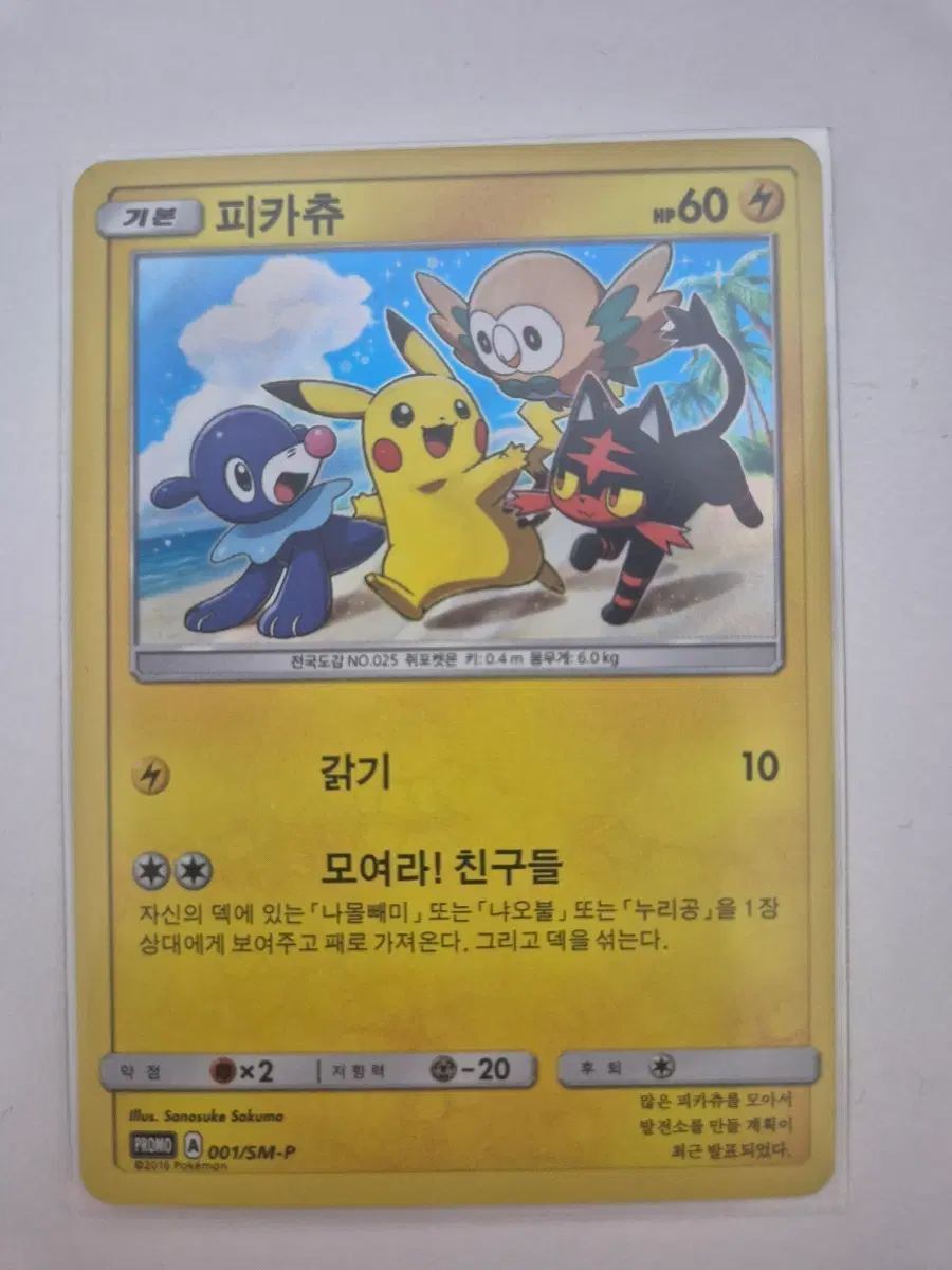 포켓몬 카드 피카츄 모여라친구들