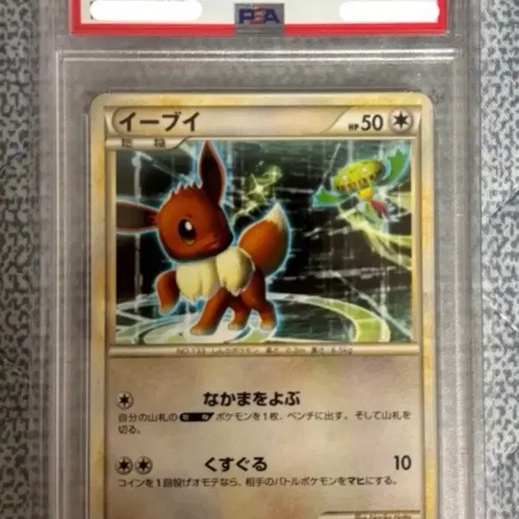 포켓몬 2009 포켓몬카드 이브이 PSA 10 사진 1
