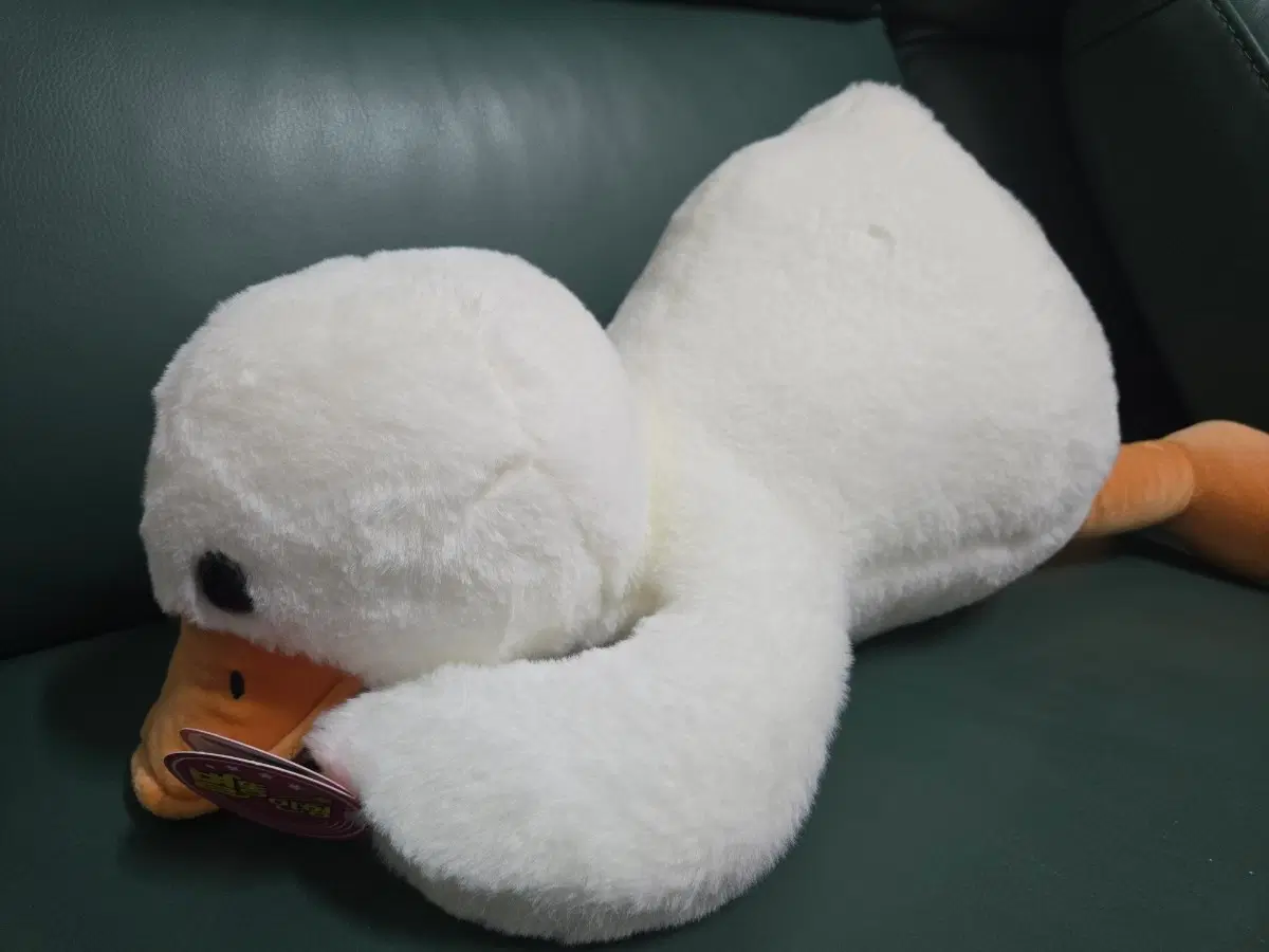 하얀색 오리 인형