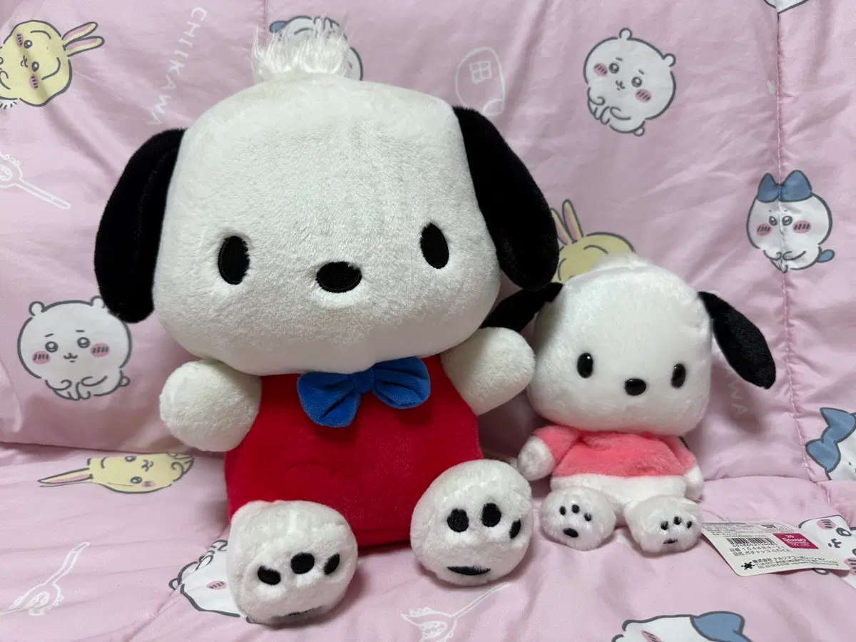 포차코 인형 2개 세트