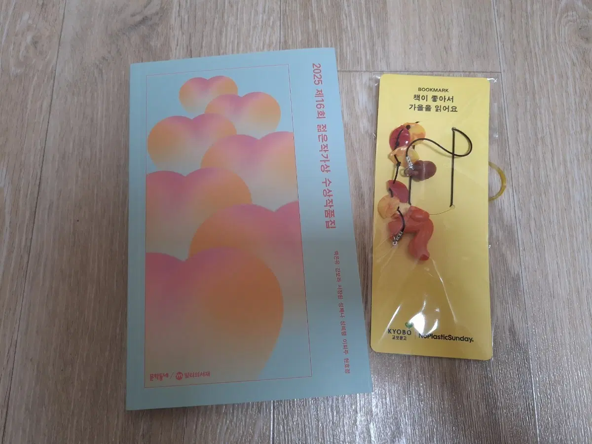 2025 16회 젊은작가상 수상작품집
