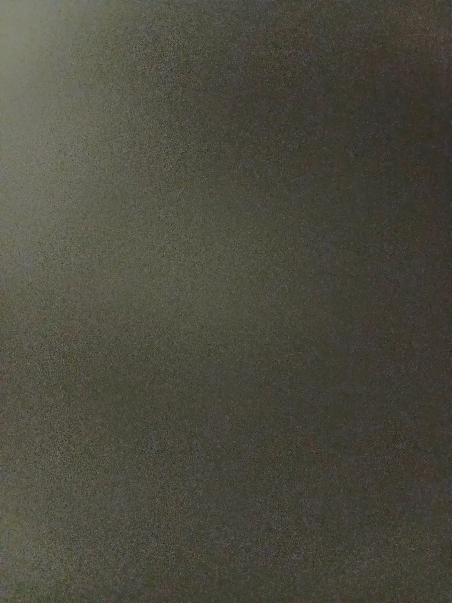 카본 88림 리어삽니다