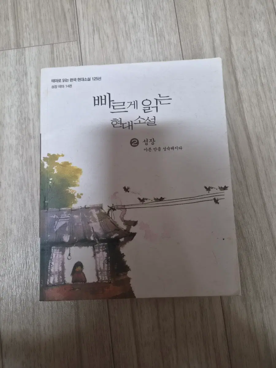 빠르게 읽는 현대소설 성장 14편