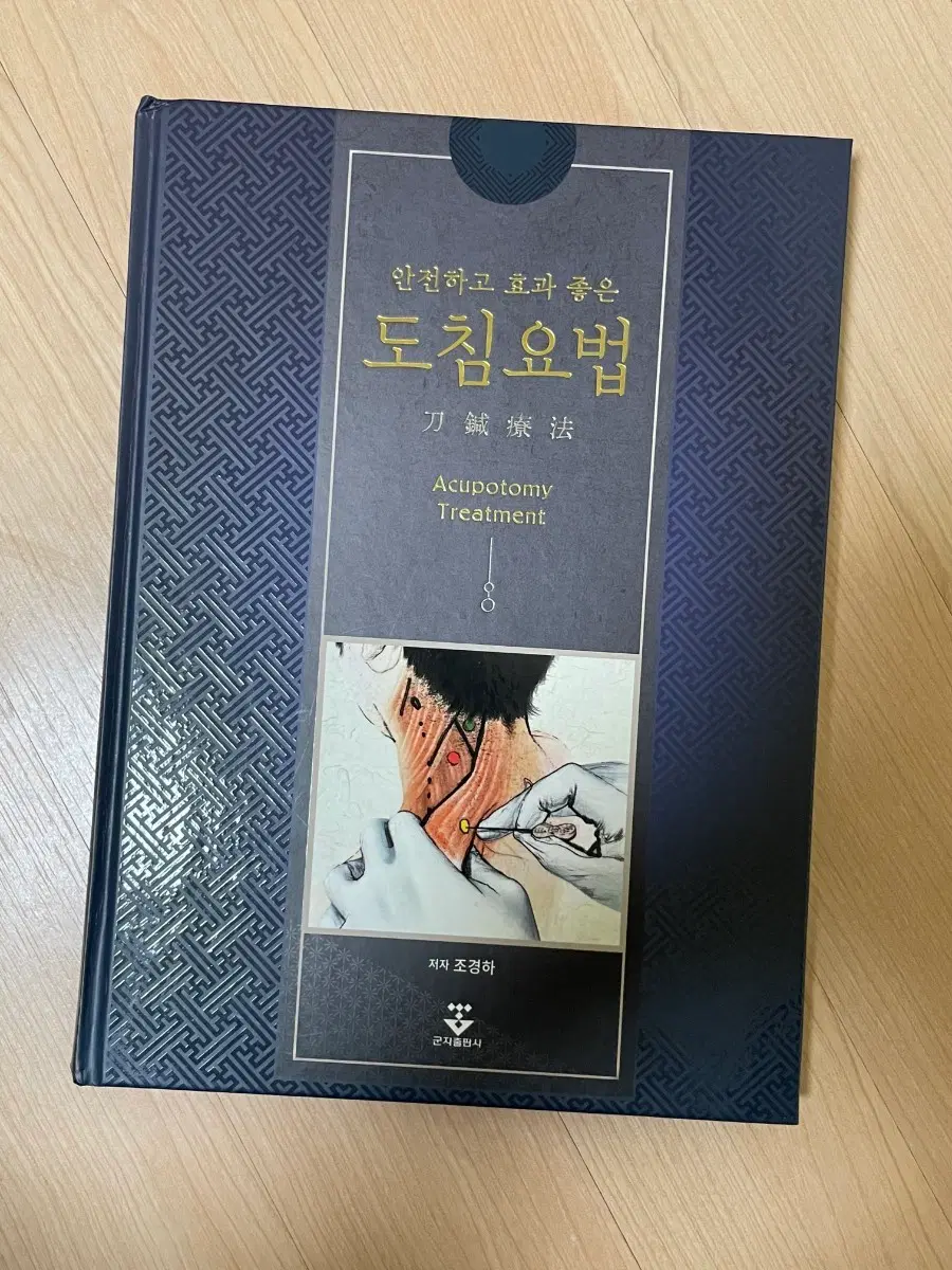 [의학서적/미사용]도침요법: 안전하고 효과 좋은 도침 치료