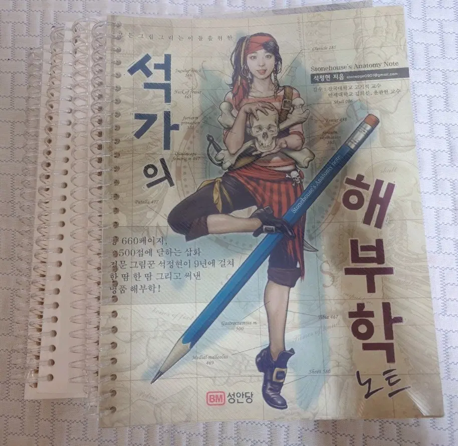 석가의 해부학노트