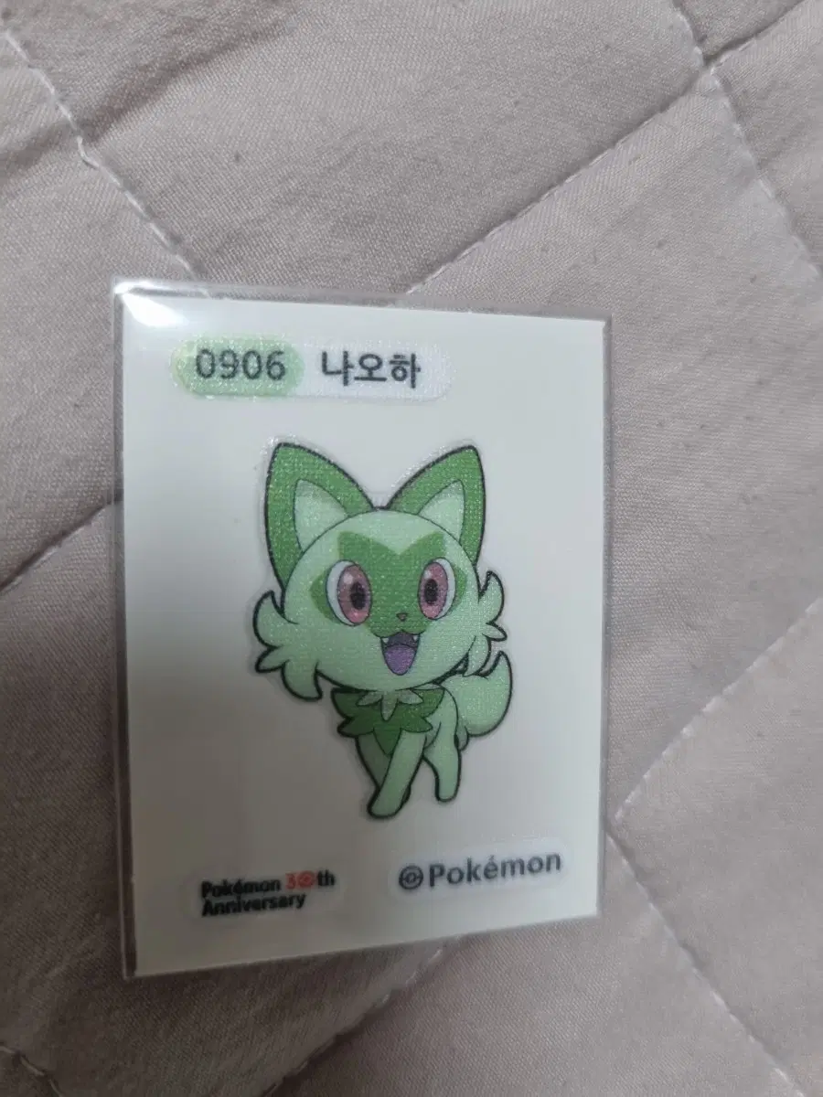 포켓몬 나오하 스티커 30주년 기념 띠부씰