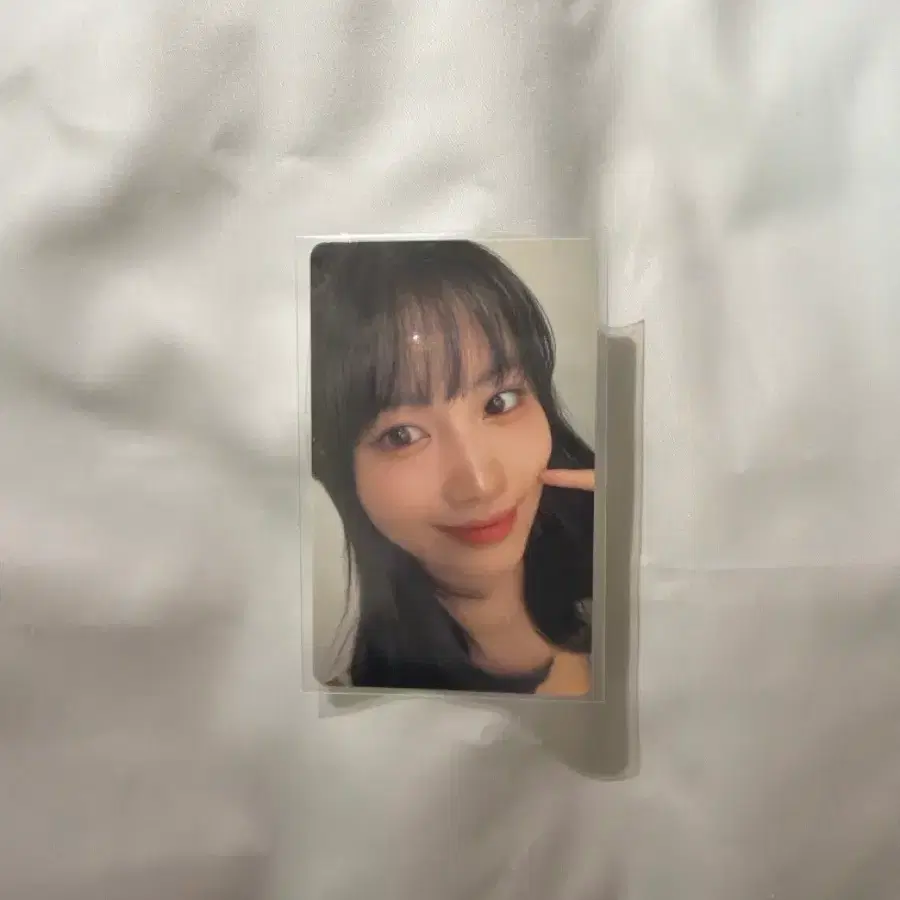 트와이스 특전 포카 모모 양도